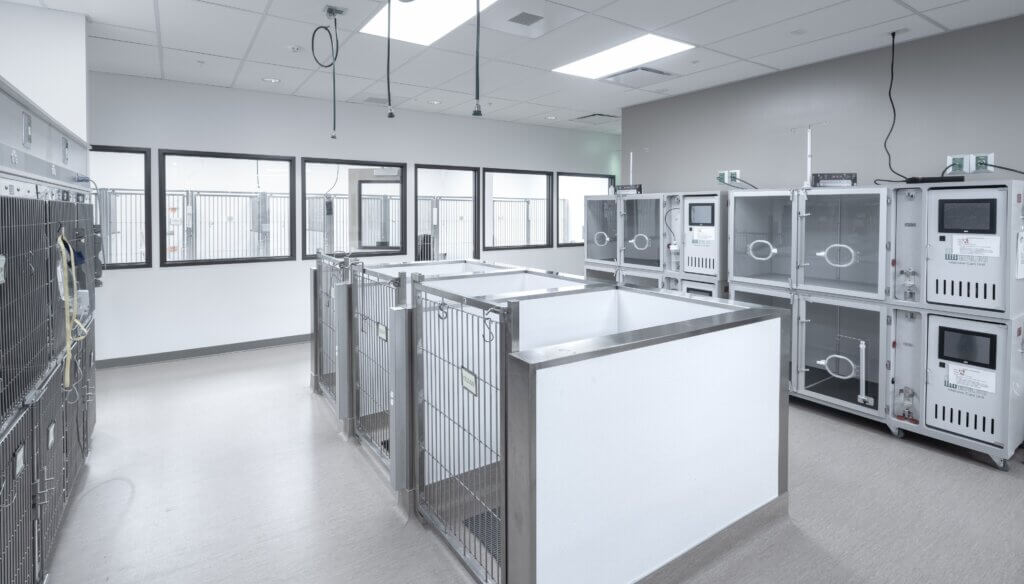Animal Kennels - Emergency Veterinary Hospital